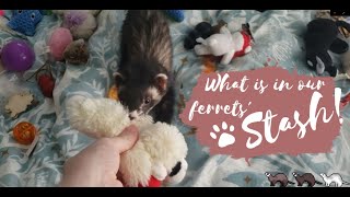 What Is In Our Ferrets Stash???