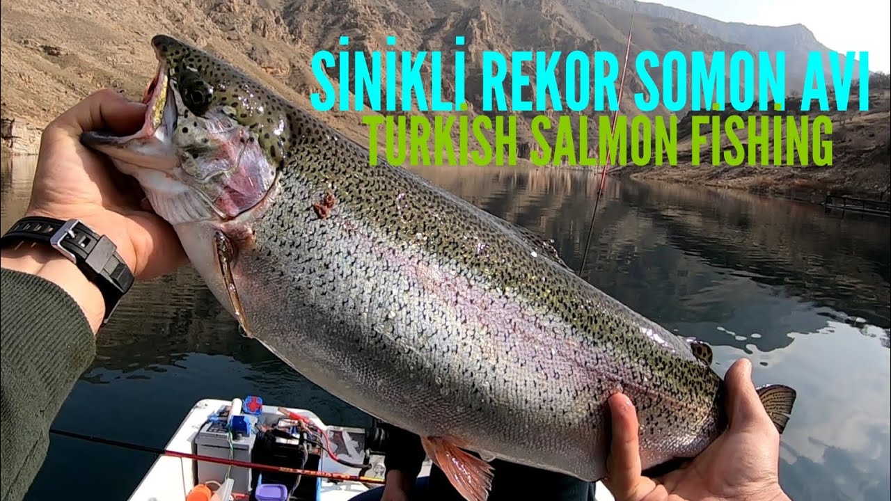 Как ловить форель на наживку