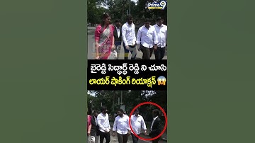 బైరెడ్డి సిద్ధార్థ్ రెడ్డి ని చూసి లాయర్ షాకింగ్ రియాక్షన్ 😱| Byreddy Siddharth Reddy | Prime9 News