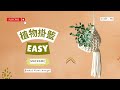 5步驟完成!療癒植物掛籃DIY Easy Macrame Plant Hanger for Beginners