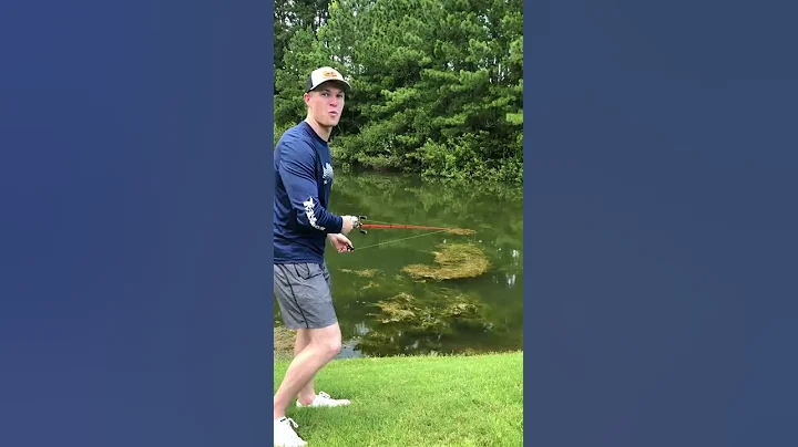 CRAZY Fish Catch!!! #Shorts - DayDayNews