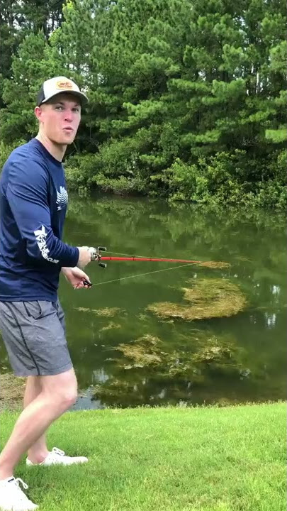 CRAZY Fish Catch!!! #Shorts