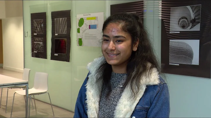 Students on Lectures, Problem Sheets, and Tutorials