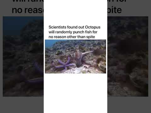 Scientists found out