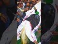 Zuljana Manglaur Uttarakhand Zuljanah Zuljana Zuljinah ManglaurAzadari Zuljana Manglaur Uttarakhand Zuljanah Zuljana Zuljinah ManglaurAzadari