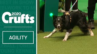 Agility – Crufts Team Large Final - Part 1 | ​Crufts 2020