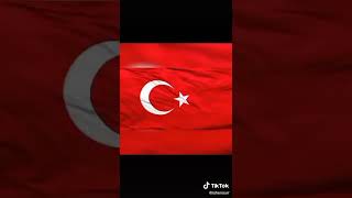 Arif Nihat Asyanın Bayrak Şiiri