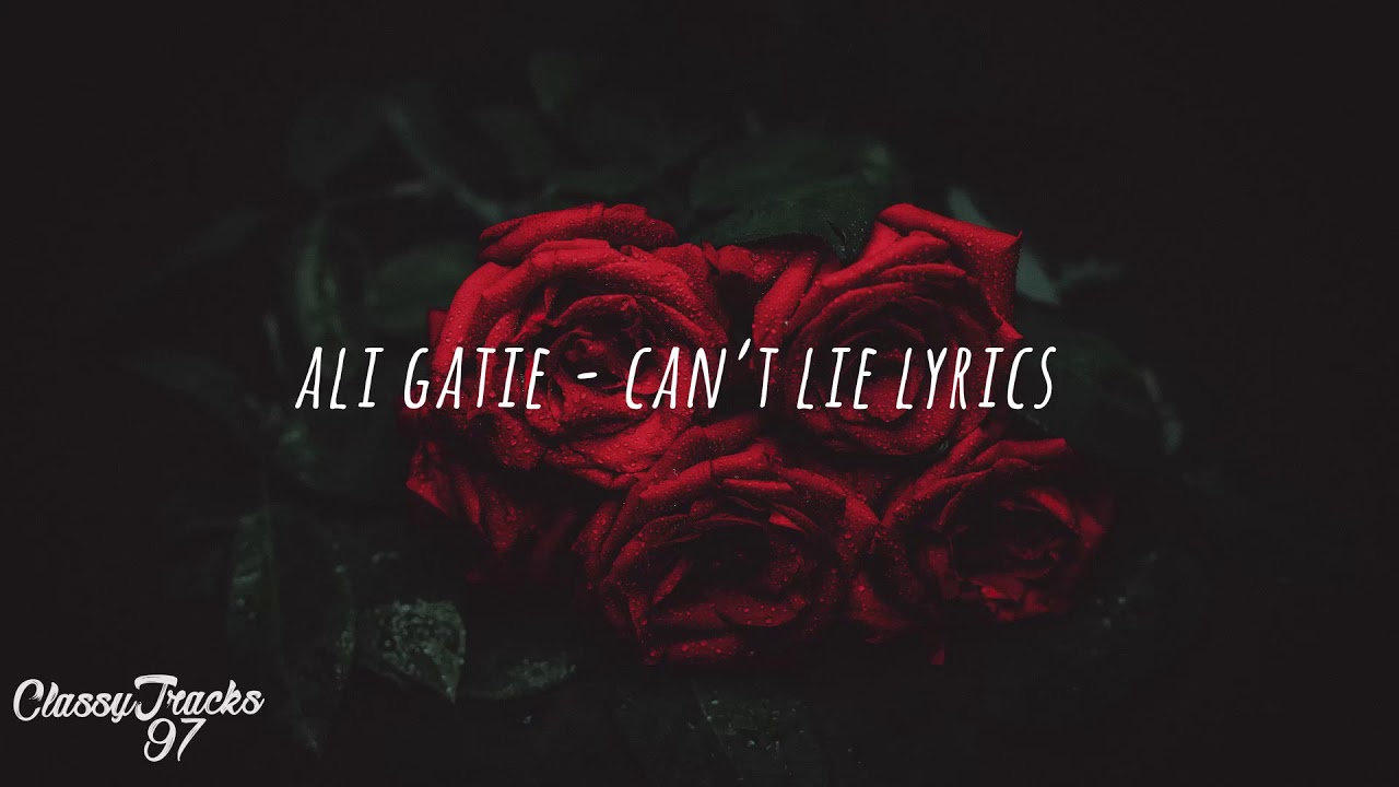 Ali Gatie   Cant Lie Lyrics