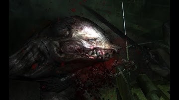 Metro 2033 - Nosalis bug at Depot | NO AUDIO