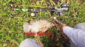 Ký sự săn hàng khủng cùng ná V2