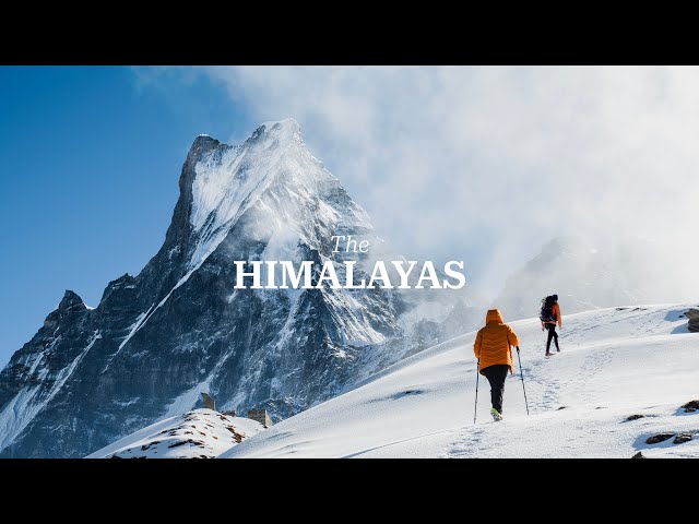 Travel vlog - We Explored Himalayas On Our Own - Mardi Himal Trek in Nepal - Silent Hiking Vlog