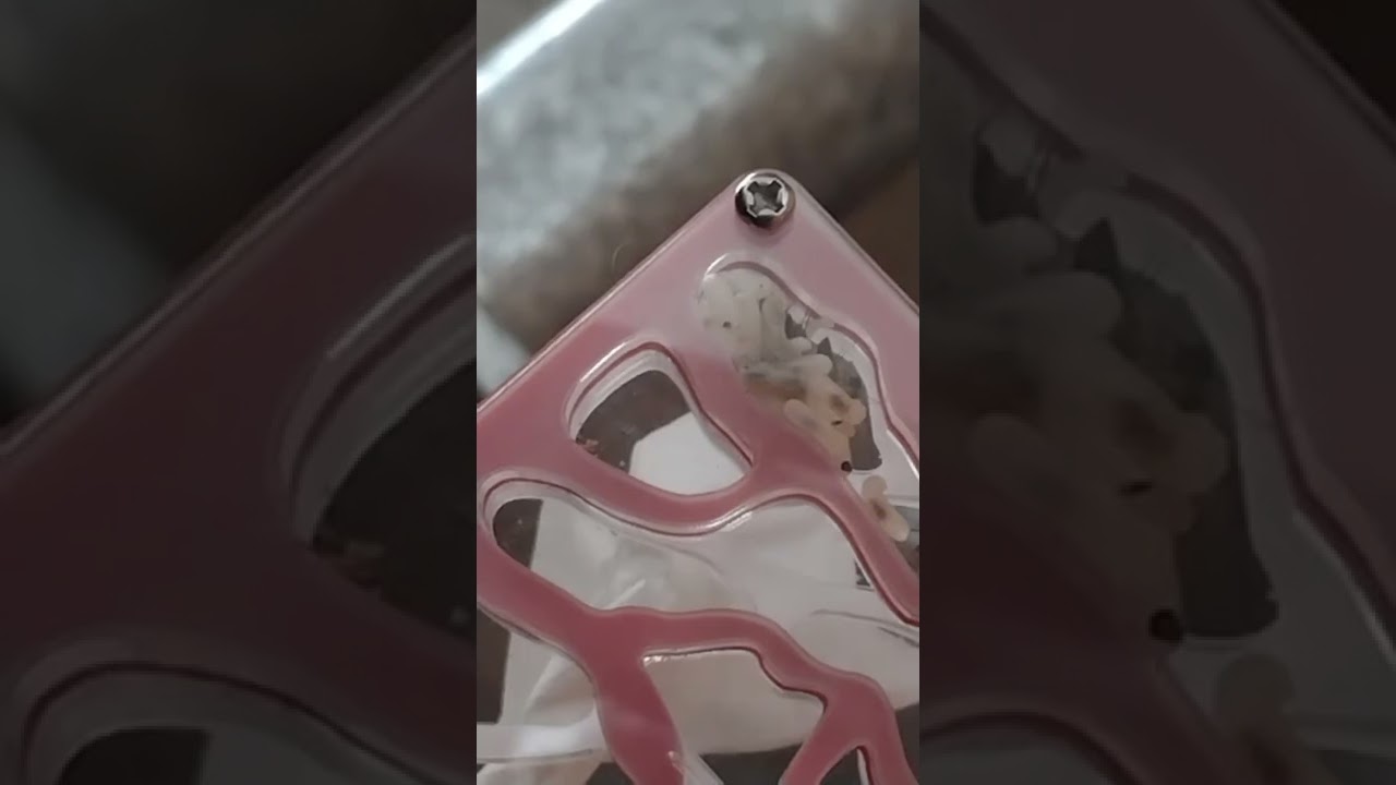 (série das carpins 5 adiventory)