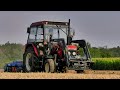 Talerzowanie 2020 - Prace Pożniwne ||Zetor 7211|Agro-Lift|Wol-Met 2B||Wielkopolska