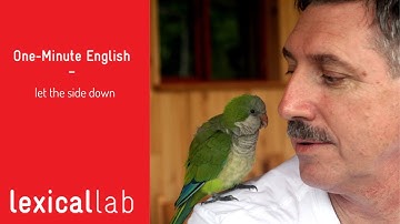 ONE-MINUTE ENGLISH: let the side down LEARN WITB LEXICAL LAB