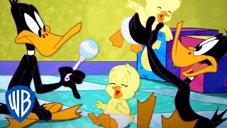 Looney Tunes | The Mommy & Baby Class | WB Kids