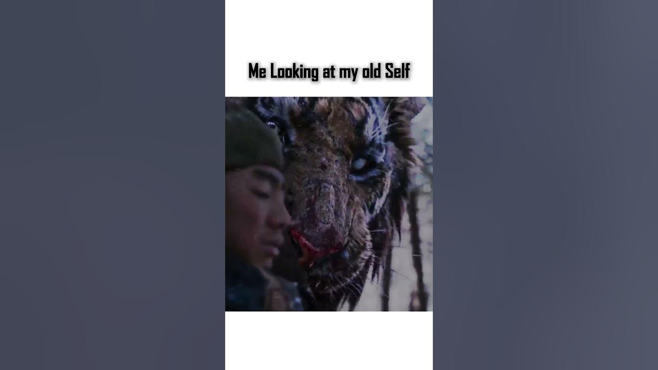 He Was weak.....Movie : The Tiger {2015} An Old hunter's Tale#thetiger #thetigerking #haunted247