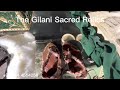 The gilani sacred relics 