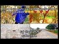 Cycal stant vlogs subscribe kar do please