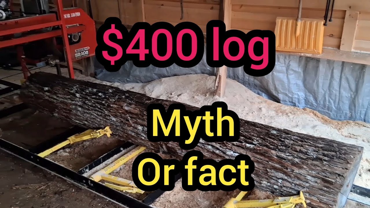 ​They Threw This Log Away... How we  Made $400 From It.