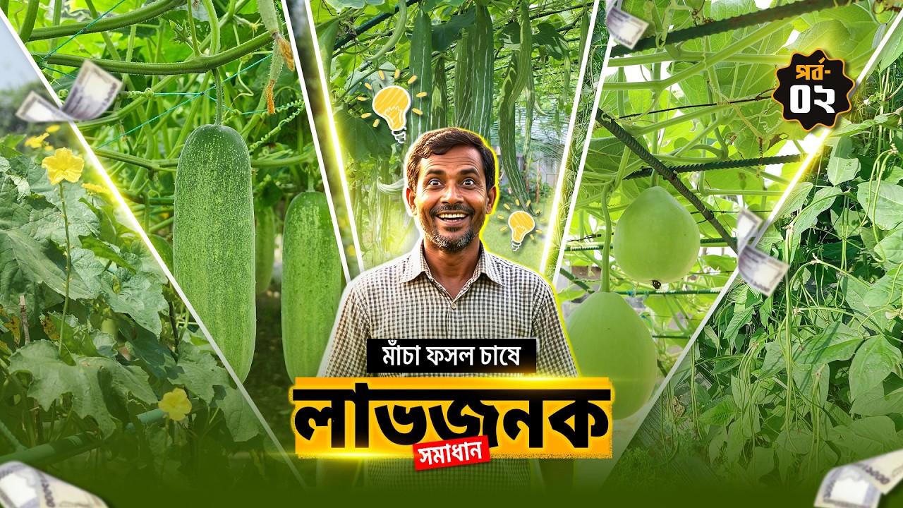 এই কাজগুলো করলেই মাটি থাকবে সুস্থ, ফলন হবে দ্বিগুণ