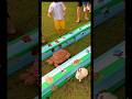 “The Rabbit and the Turtle Race – Is Speed Really Everything? 🐇🐢🏁”