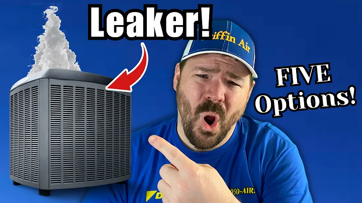 5 Options on AC Refrigerant LEAKS!