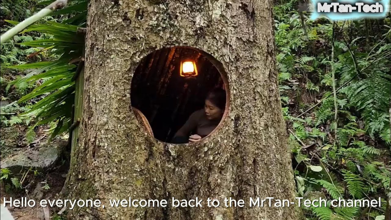 "Girl Builds a Survival Shelter in the Forest Using a Dry Tree Trunk ...