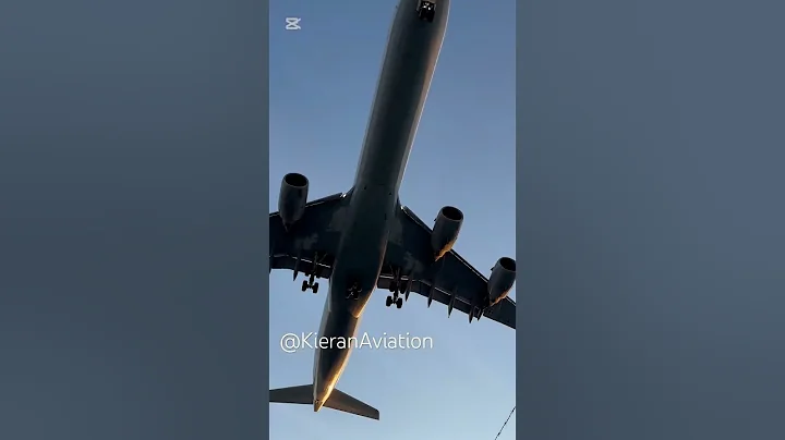 Lufthansa A340 #aviation #airbus #a340 ✈️✈️✈️👍🏻