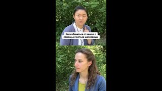 Устали от кашля? Откройте для себя удивительные свойства листьев шелковицы!