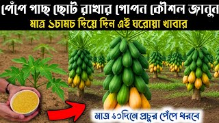Video Download