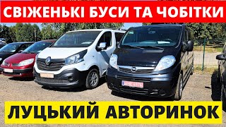 видео: СВІЖІ ЦІНИ НА БУСИ ТА ЧОБІТКИ // ЛУЦЬКИЙ АВТОРИНОК / 25.09.25р. #автопідбір #буси #ренокенго #трафік картинка: СВІЖІ ЦІНИ НА БУСИ ТА ЧОБІТКИ // ЛУЦЬКИЙ АВТОРИНОК / 25.09.25р. #автопідбір #буси #ренокенго #трафік