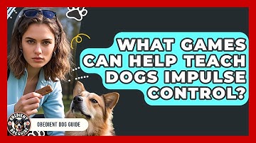 What Games Can Help Teach Dogs Impulse Control? | Obedient Dog Guide
