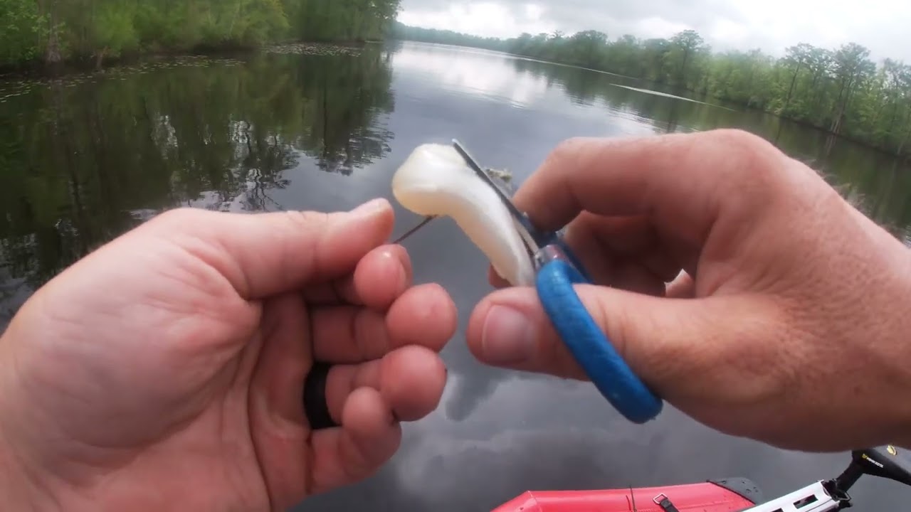 Spring Topwater Bass Fishing