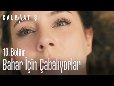 Bahar için çabalıyorlar - Kalp Atışı 10. Bölüm