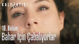 Bahar için çabalıyorlar - Kalp Atışı 10.  Resimi