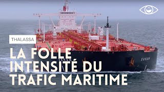 Pas de Calais : la folle intensité du trafic maritime - Thalassa