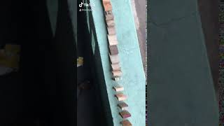 Ravi Teja 0301 008