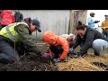 Mini-Forest Planting at Pilgrim Baptist Church in Rondo Neighborhood