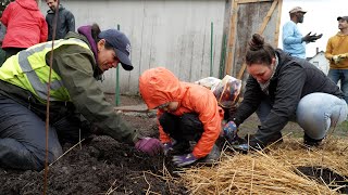 Mini-Forest Planting at Pilgrim Baptist Church in Rondo Neighborhood