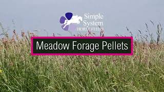 Meadow Forage Pellets - From Field to Feed...