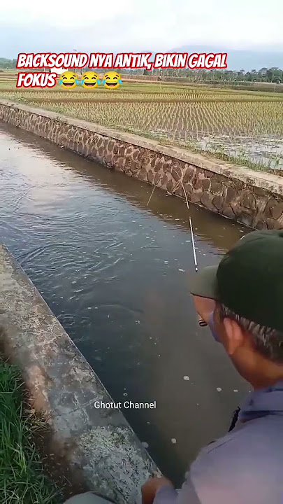 MANCING DI SUNGAI PAKAI JORAN LENTUR DAPAT IKAN NILA#fishing #mancing #mancingdiselokan