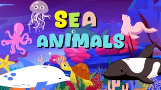 Sea Animals | Learn Aquatic animals for kids | English educational video
