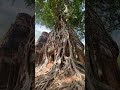 Exploring Ancient Roots, Koh Ker Temple, VietLong Travel from Nguon S. 🌳