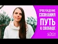 Как наполнить мир и стать происходящим? Изменения психофизики после пробуждения. Лариса Гурьянова