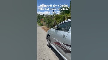 Vườn trái cây ở Củ Chi thu hút nhiều khách du lịch #shorts