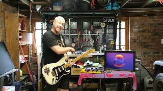Building a DML Panel Guitar Speaker