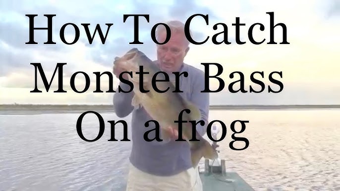 Best Frog Lure for Bass Fishing