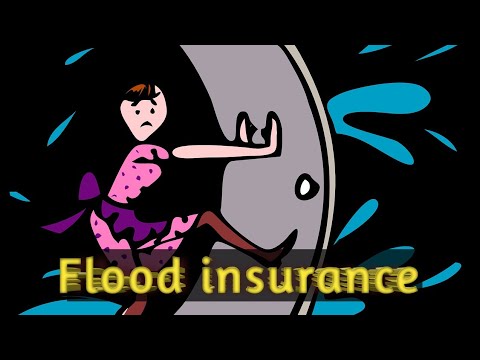 what is flood insurance