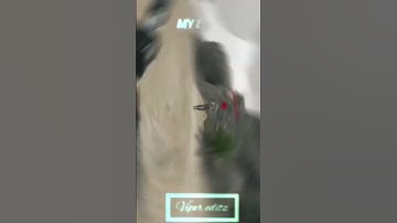 Delta Force Fast & Furious Gameplay! Intense Action in Minutes - Don