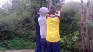 Details Funny tree swing Fail Update